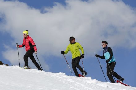 Ski de randonnée